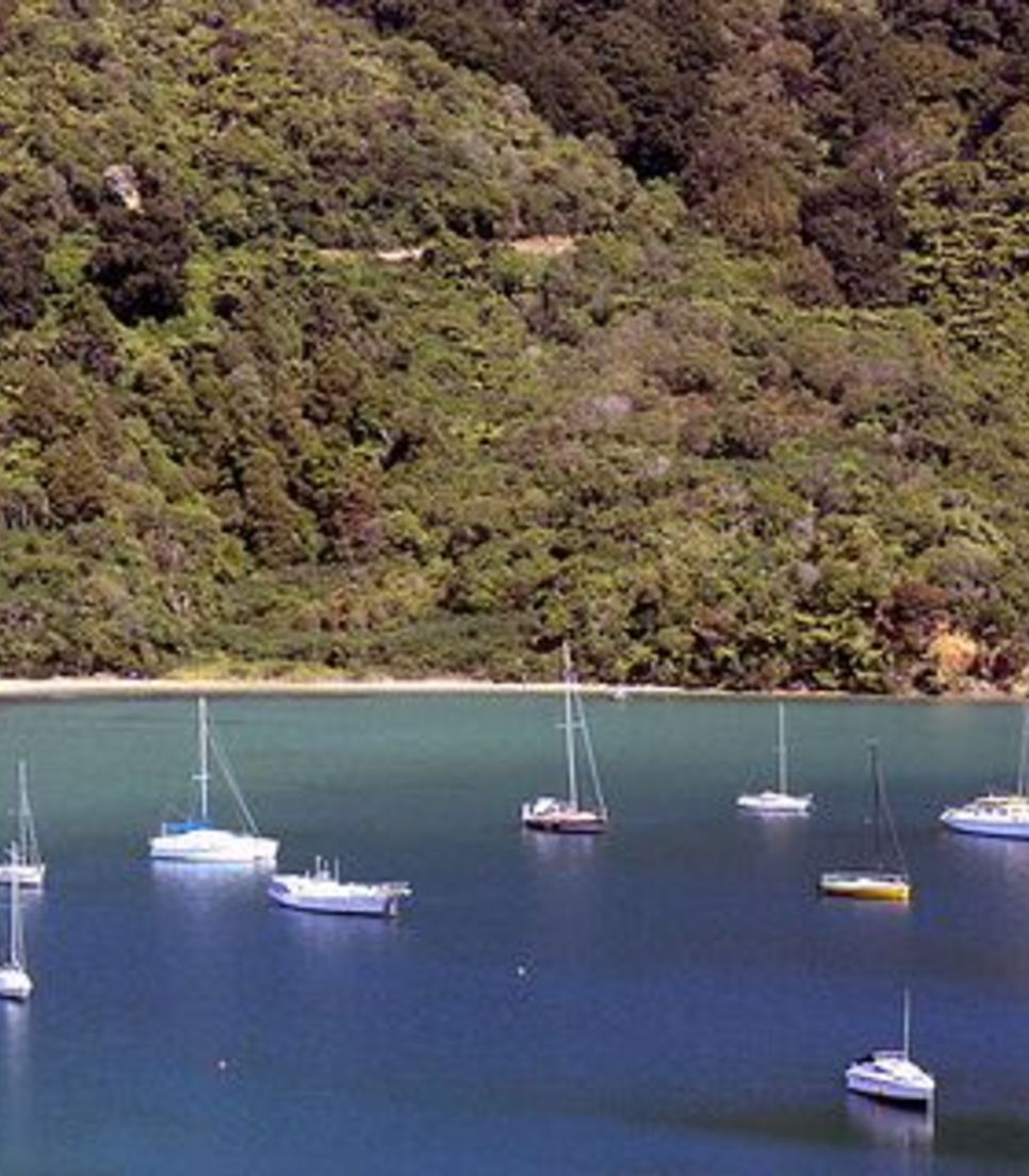 Start the tour in Picton, in the heart of the glorious Marlborough Sounds