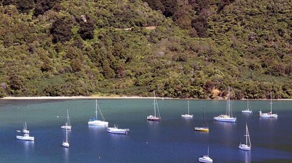 Start the tour in Picton, in the heart of the glorious Marlborough Sounds