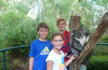 Children with koala