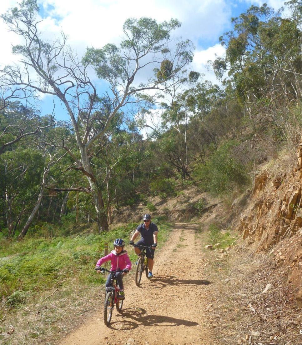 Join in with a guided and fun ride that your family will love too