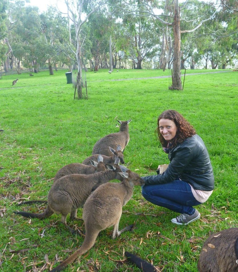 Enjoy meeting Australia's native wildlife on the tour