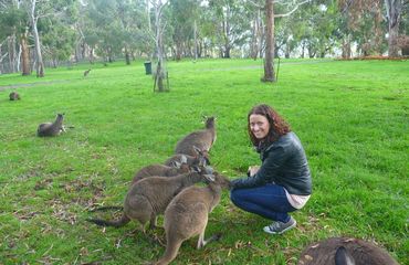 Woman with kangaroos