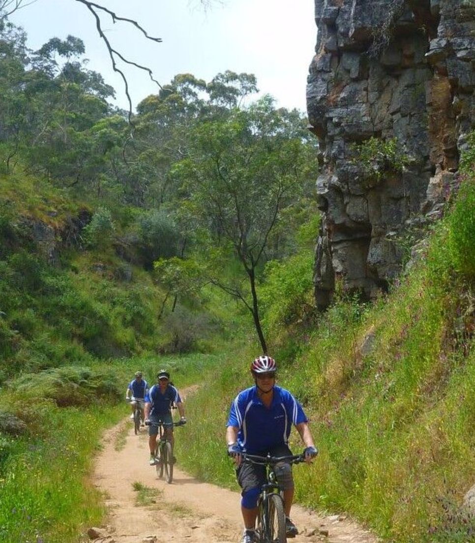 Whatever your ability, you'll enjoy the cycling on this fun tour