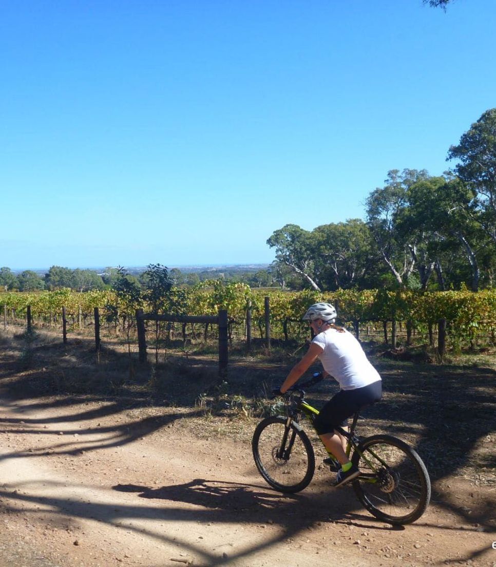 Pedal through the McLaren Vale with a peaceful day of biking