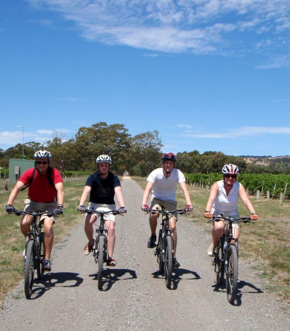 Enjoy a fun cycle tour with some friends