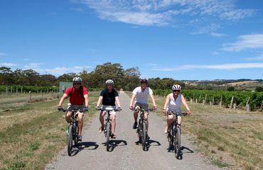 Group of 4 cyclists
