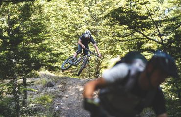 Mountain bikers riding through forest