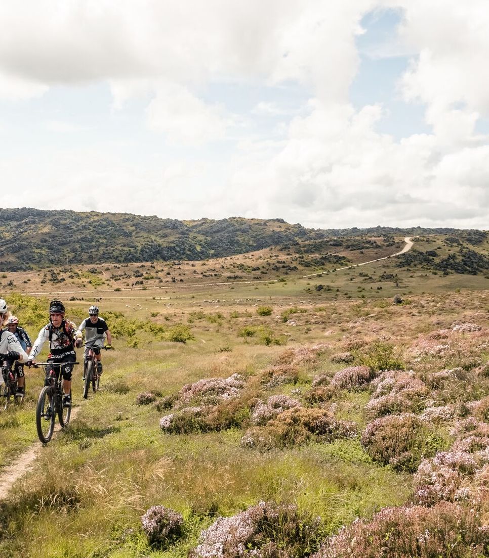 Explore Queenstown's MTB delights with your mates - coming back with new skills and new memories
