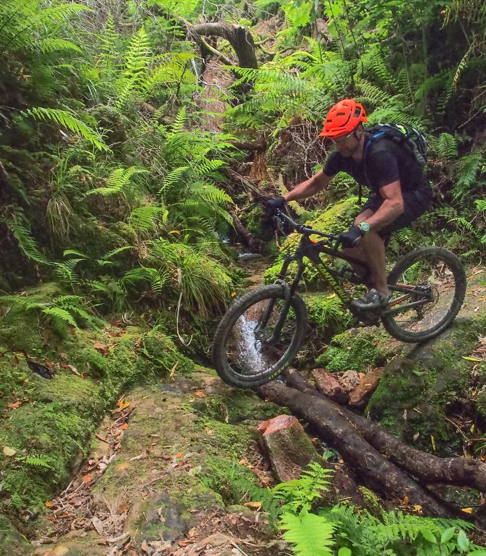Take part in an incredible tour of the best MTB spots