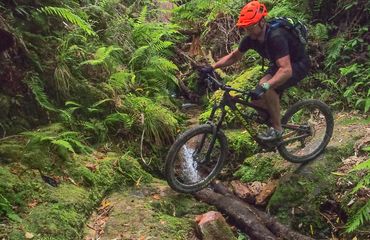 Cycling over logs