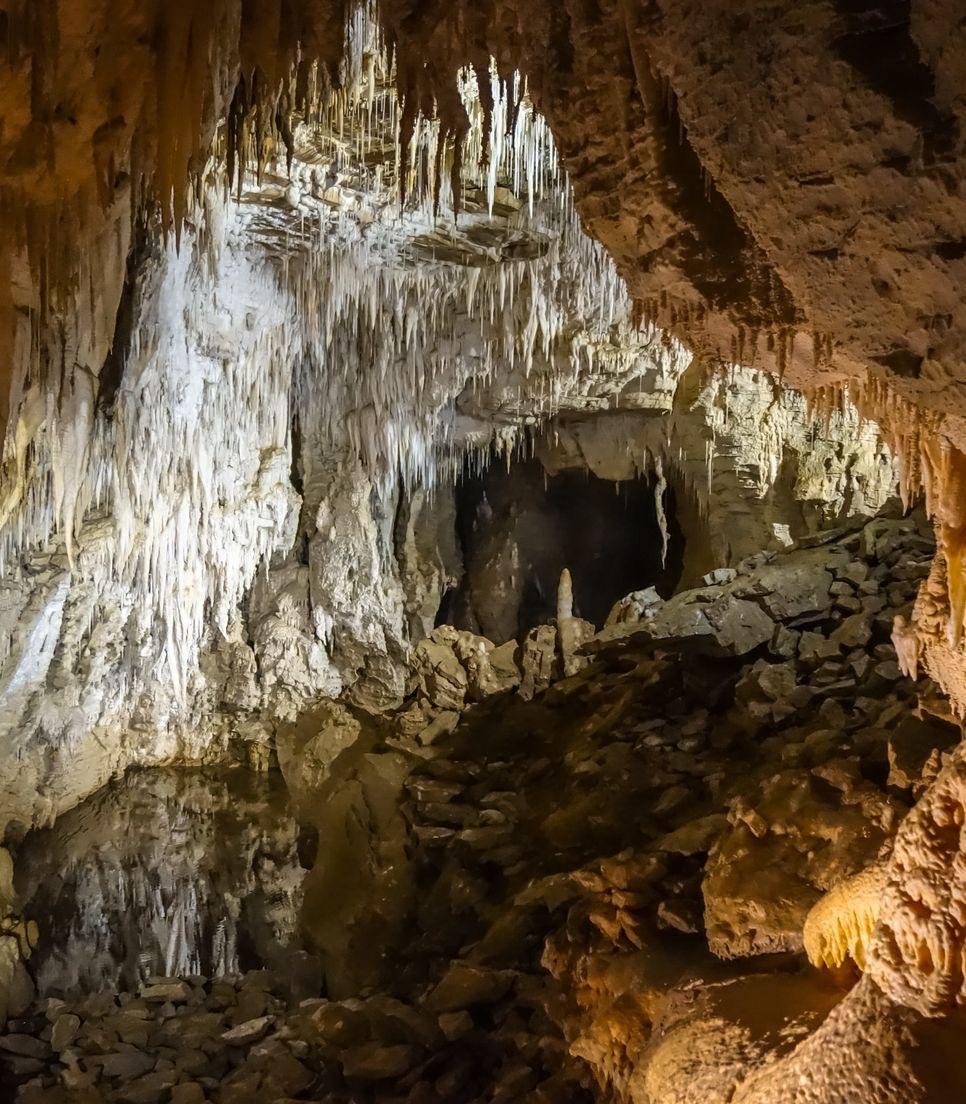 Visit the spectacular glow worm caves today