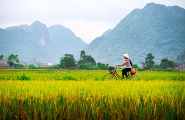 Vietnamese countryside 