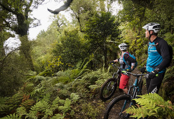 Crafted MTB Tour of New Zealand's North