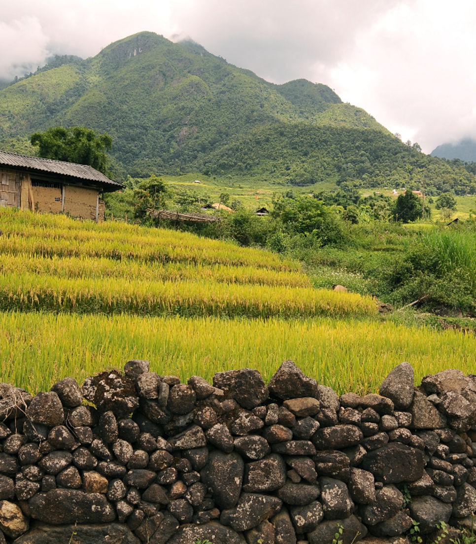 Get lost in the gorgeous views of rice fields, jungles and beaches