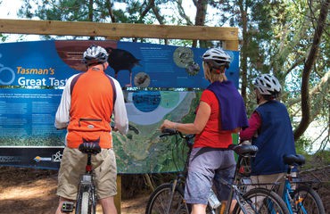Cyclists at information board