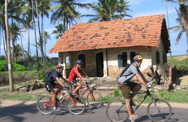 Cyclists on bikes