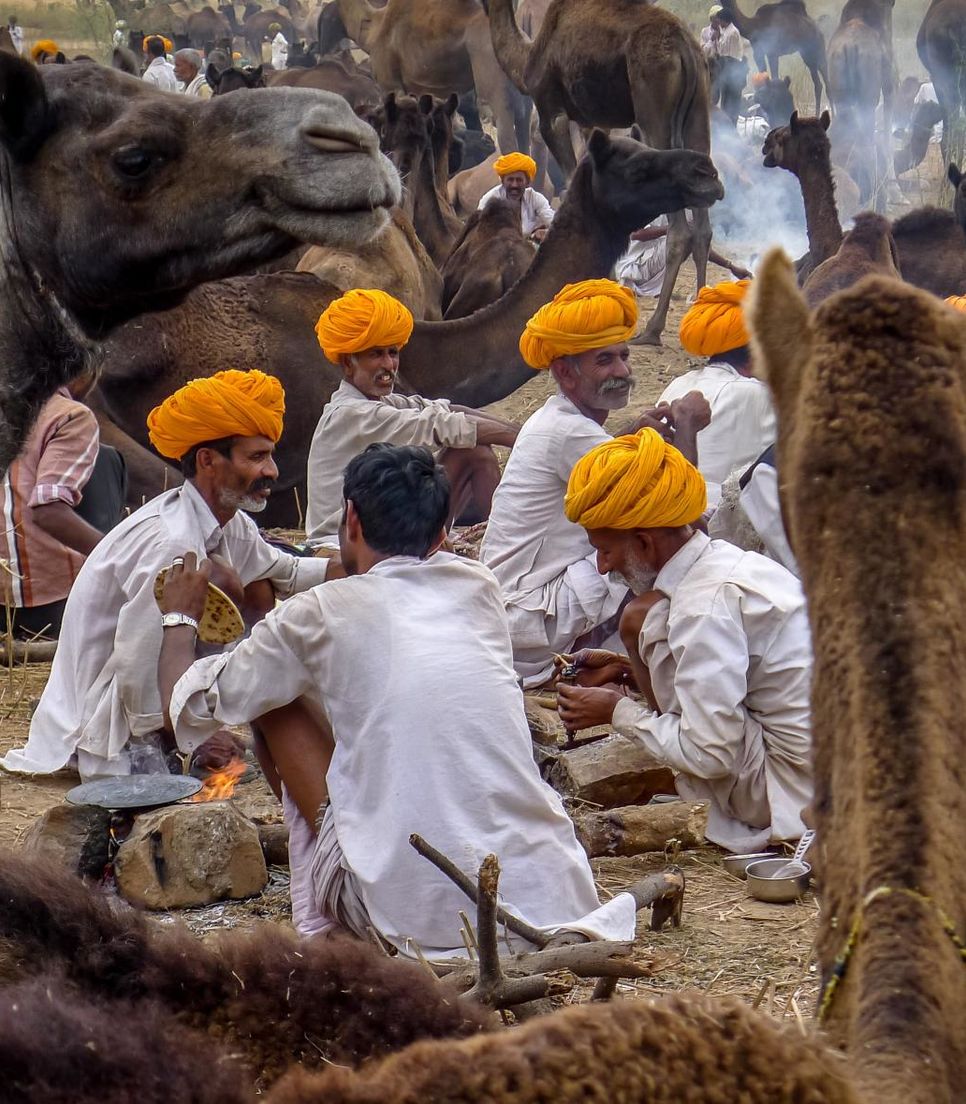 Pushkar Camel Festival held every November