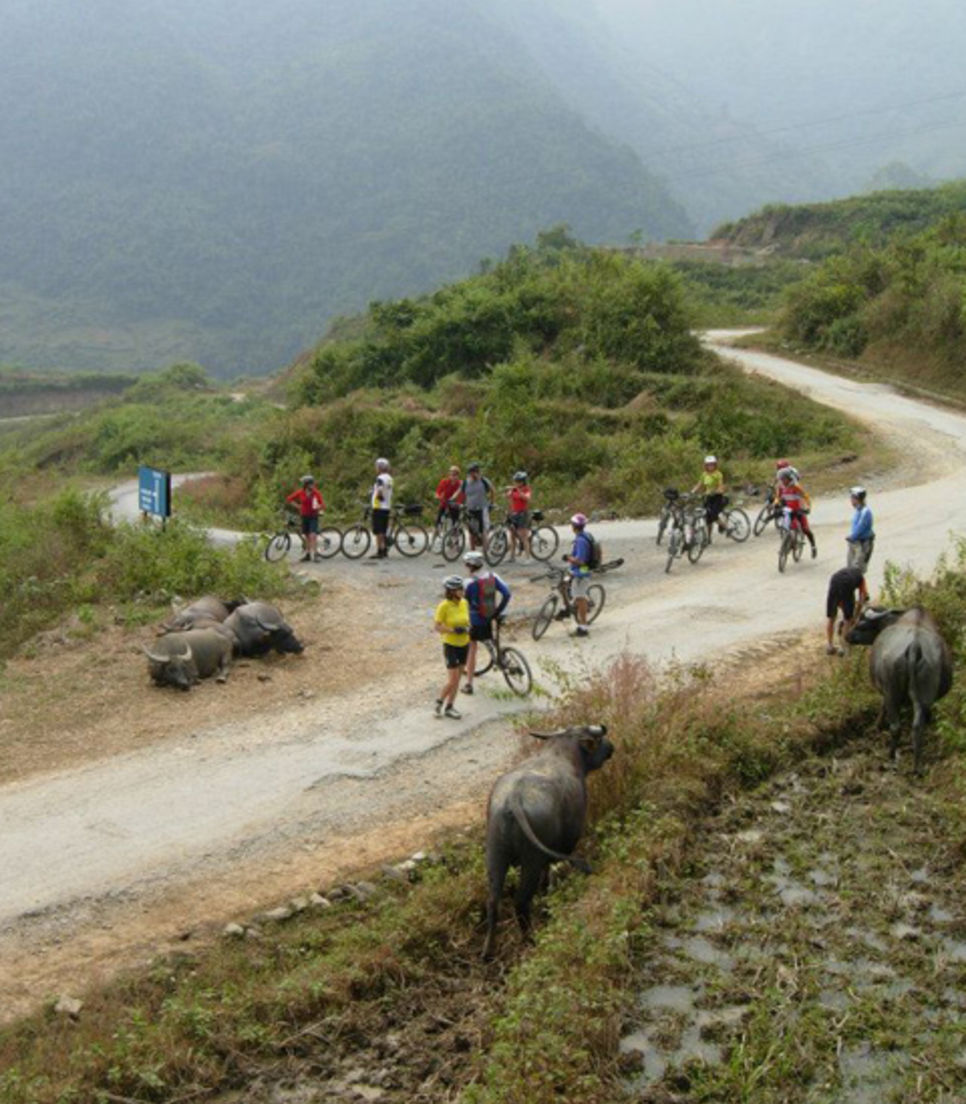 Traverse mountain passes which are amongst the highest in Vietnam
