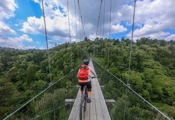Riding Rotorua & Timber Trail