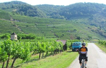 Cycling next to vineyard