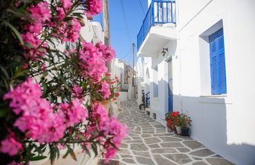 Pink flowers and Greek buildings painted blue and white