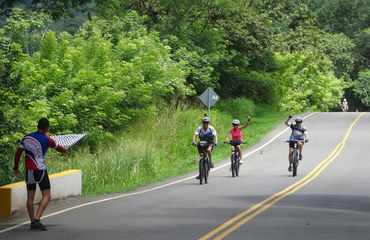 cyclists on the road