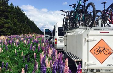 Van and bike trailer