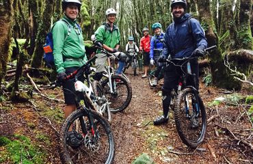 Group of mountain bikers in woods