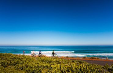Cyclists riding along the coastline