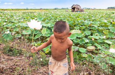 Child holding a lotus flower