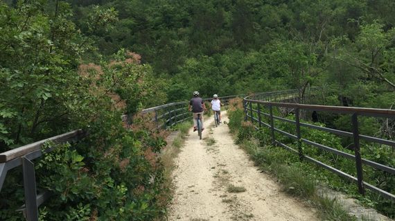 Enjoy a cycle tour formulated especially for families through Istria