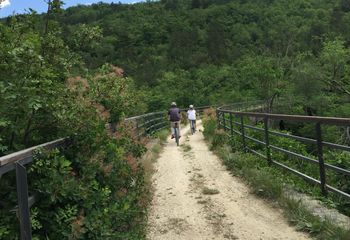 Family Cycling Holiday in Istria