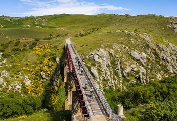 Otago Rail Trail Classic