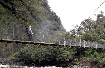 Suspension bridge in the bush