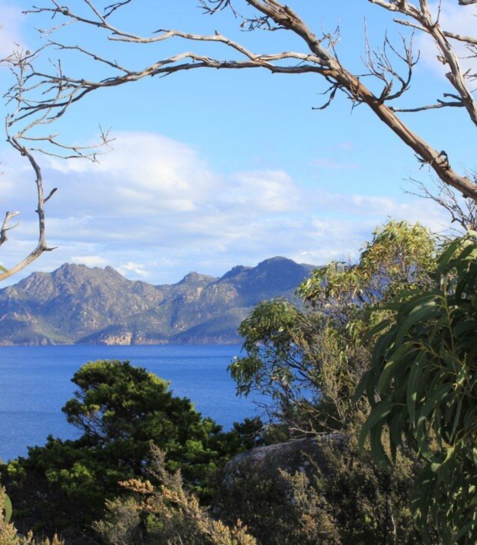 Immerse yourself in the spectacular scenery of Tasmania