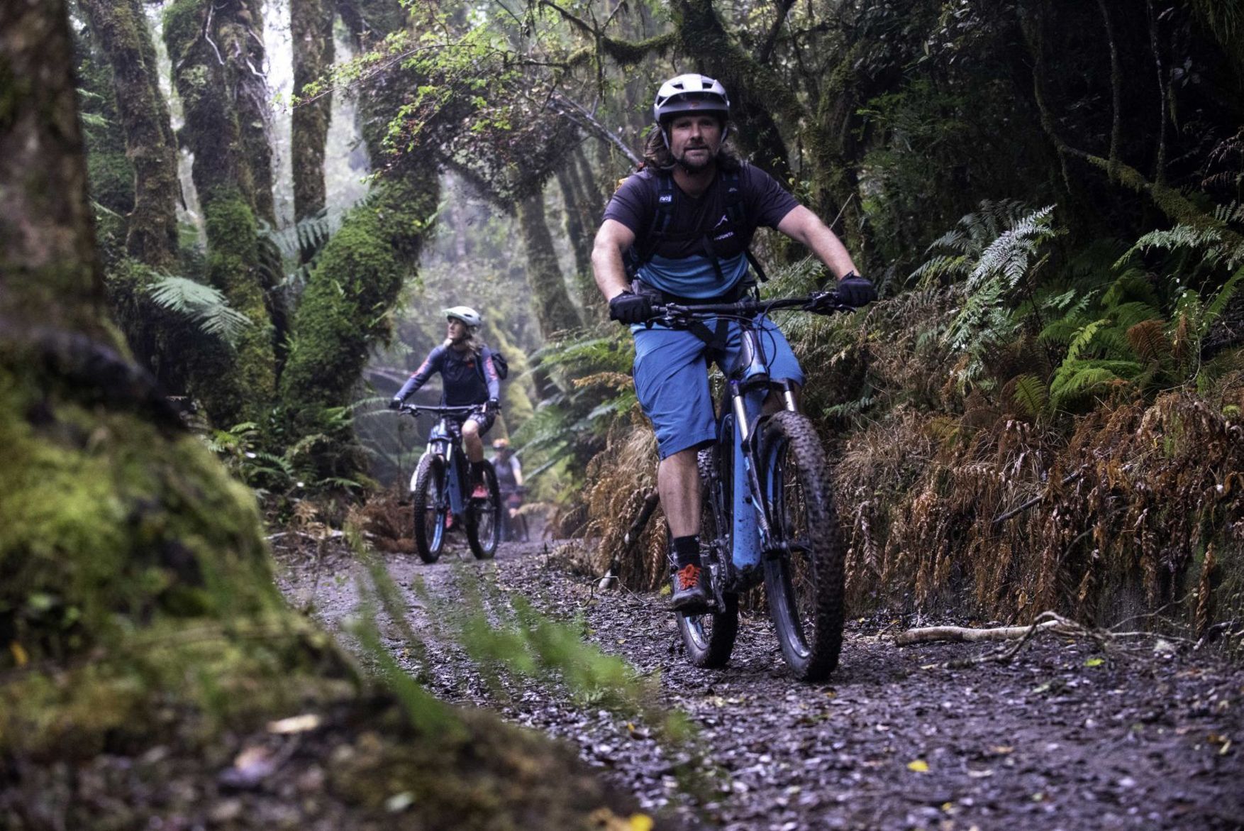 timber trail ebikes