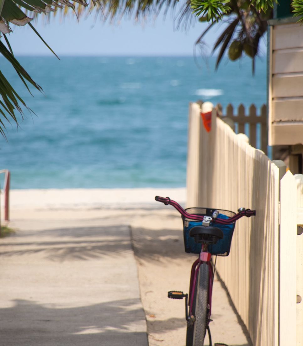 Pedal a variety of landscapes on this charming tour of Florida