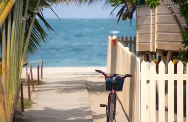 Bike leaning on fence by beach