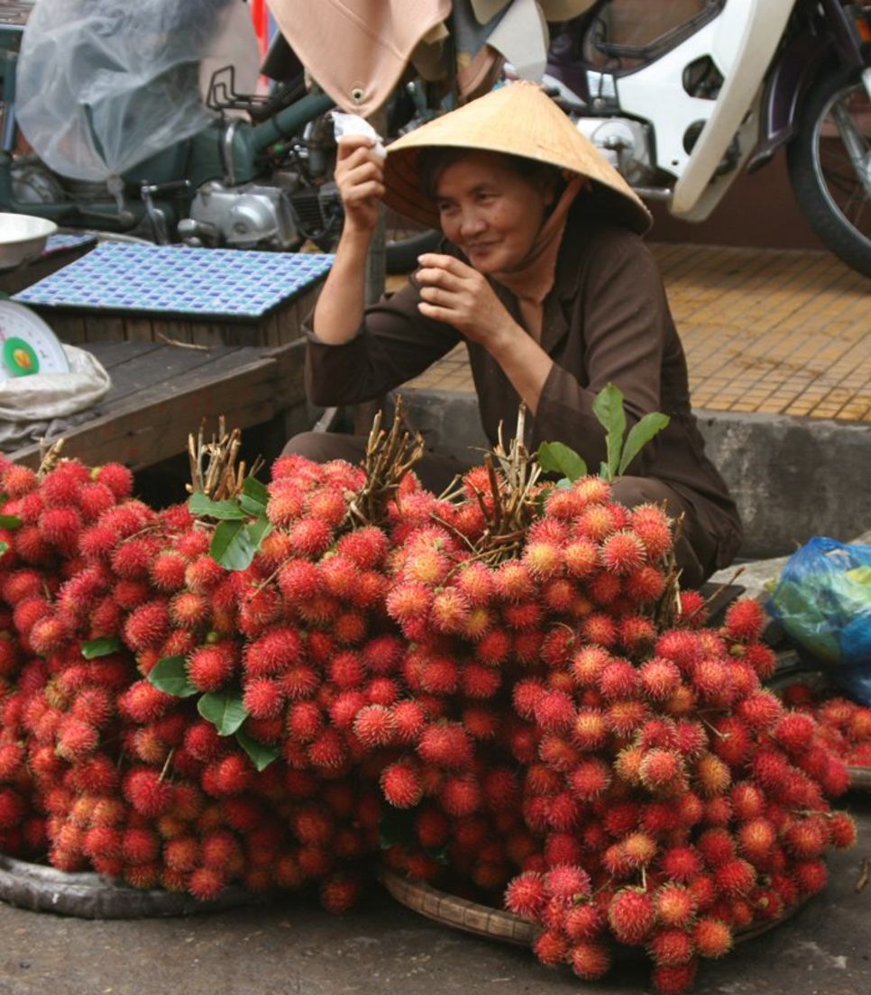 Have a taste of the rambutan and other fruits found only on this side of the world