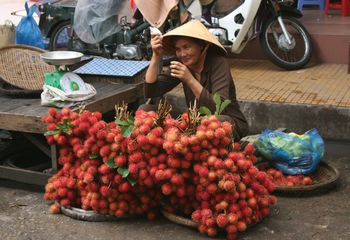 Vietnam Bicycling Tours: Meandering the Mekong Delta