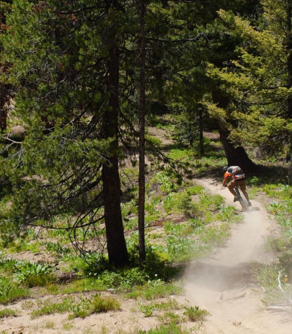 Bike through the wilds as you discover this natural playground