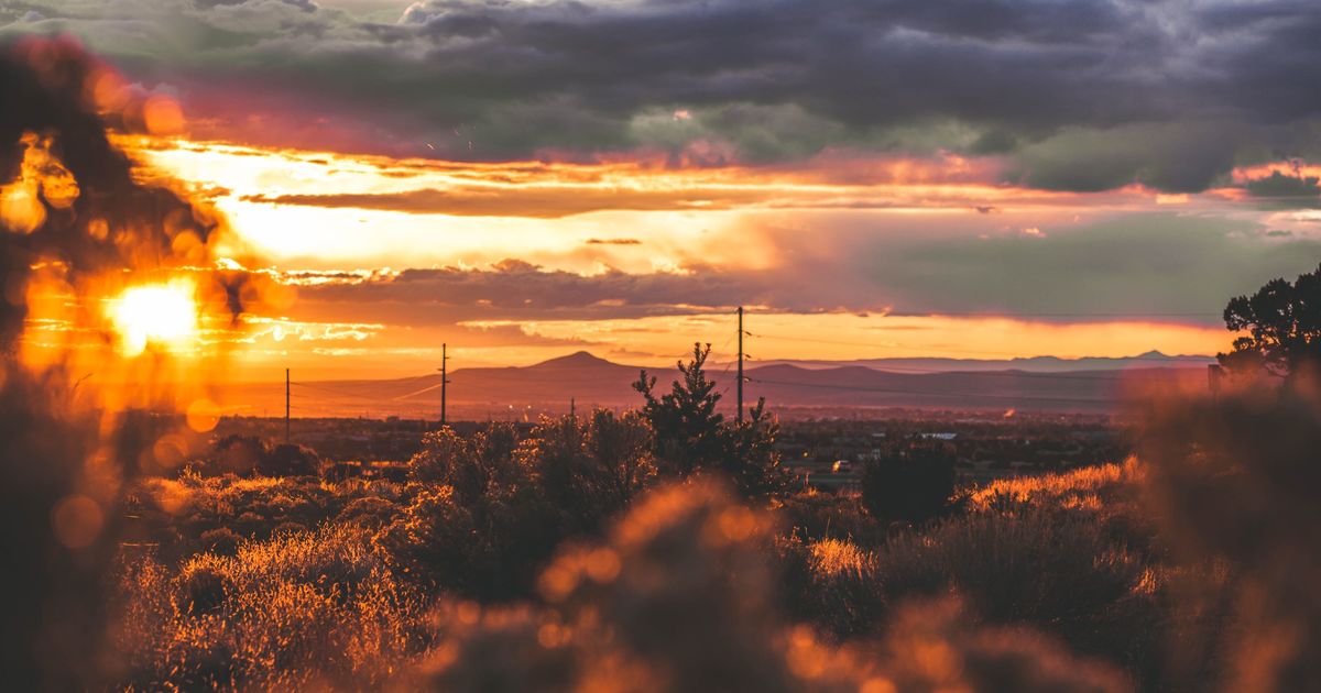 New Mexico Rockies Singletrack | Roar Adventures