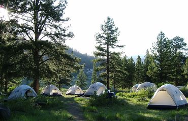 Camping in meadow