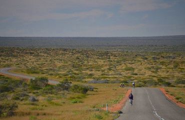 Cyclists biking on outback road