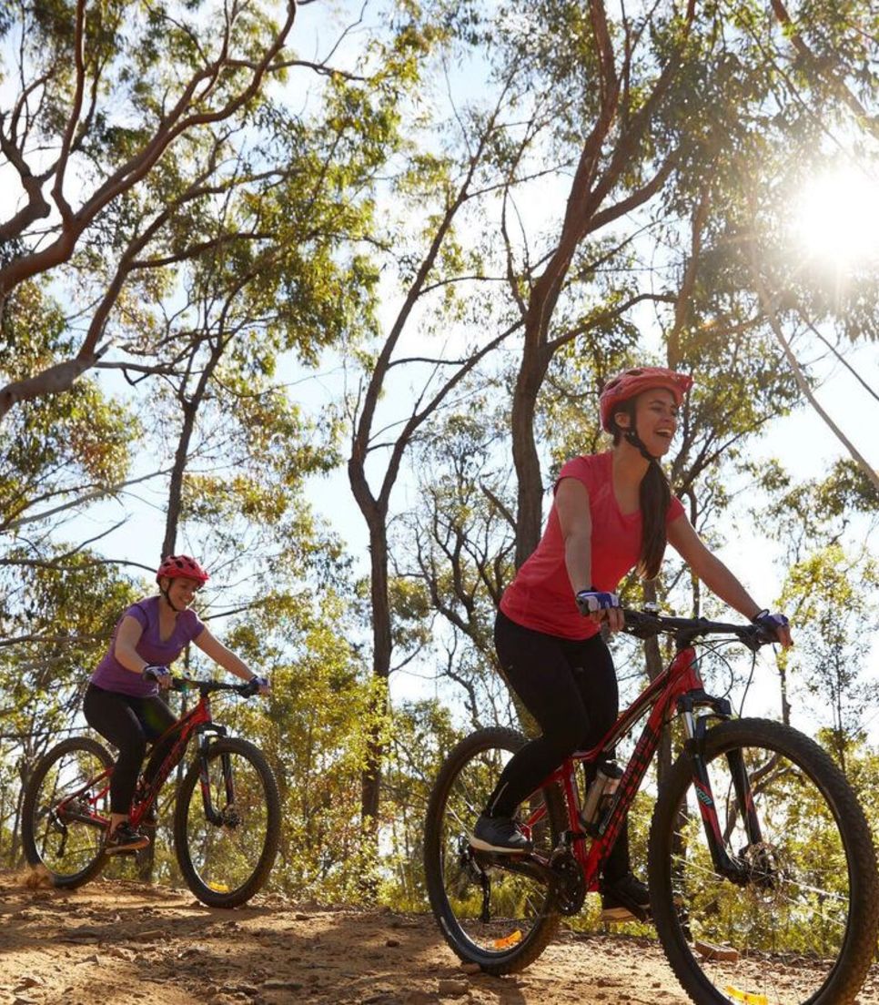 Explore the Blue Mountains by bike