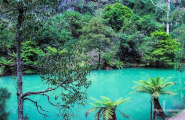 Turquoise lake in the forest