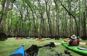 Kayaking through trees
