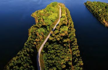 Drone shot of road leading through woods to the sea