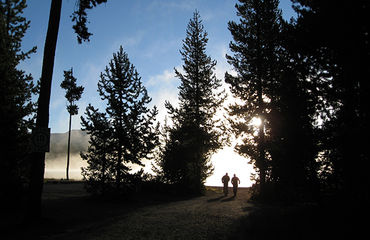 Two people biking on track between trees silhouettes