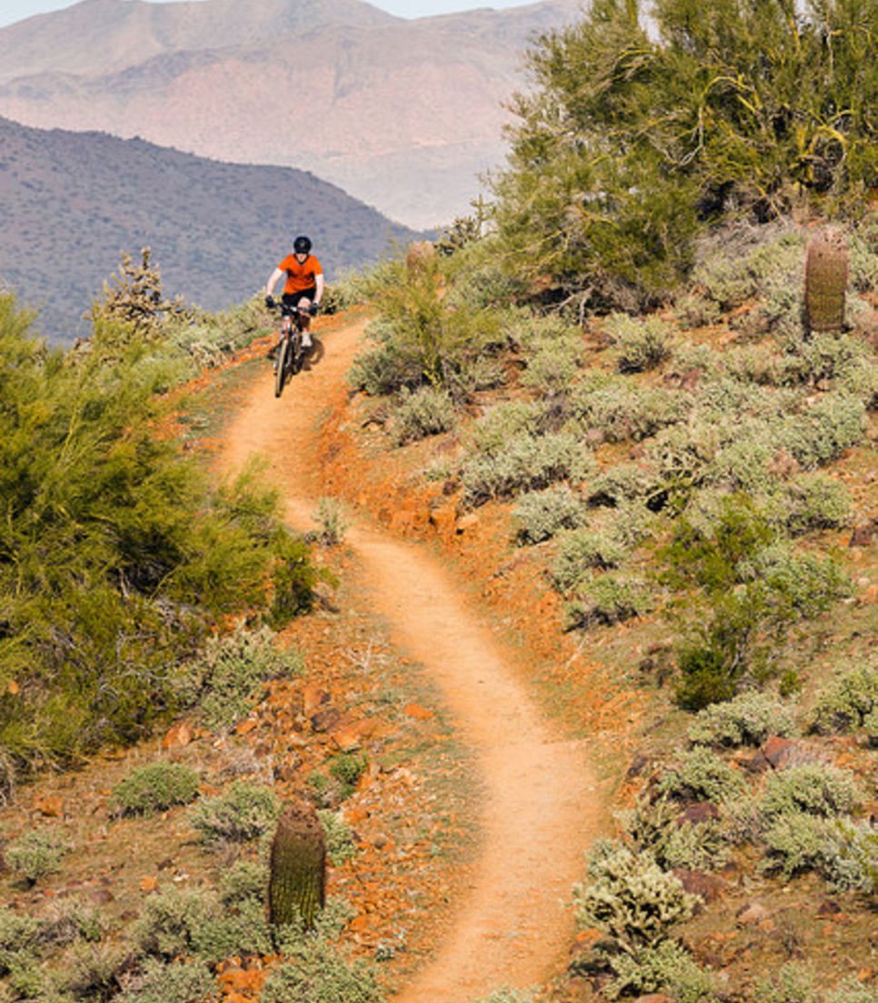 Glide over this superb landscape as you cycle tour Arizona